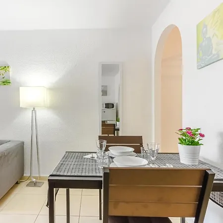 Fantastic Large In Front Of Heated Pool Wifi Apartment *